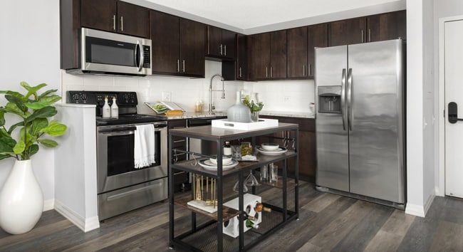 21 W Chestnut St, Unit 806 in Chicago, IL - Building Photo - Building Photo