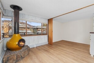 700 S Monarch St in Aspen, CO - Building Photo