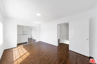 1041 S Manhattan Pl in Los Angeles, CA - Building Photo - Building Photo