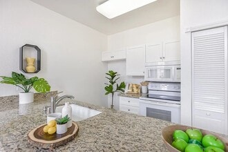 516 Martha St, Unit 206 in San Jose, CA - Foto de edificio - Building Photo