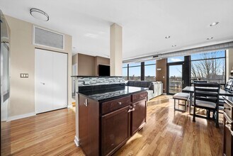 1001 W 15th St in Chicago, IL - Building Photo - Building Photo