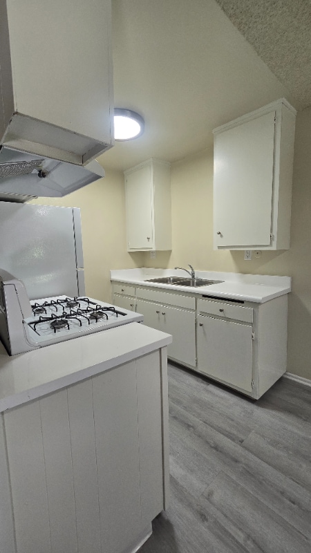530 N Wilson Ave in Pasadena, CA - Building Photo - Building Photo