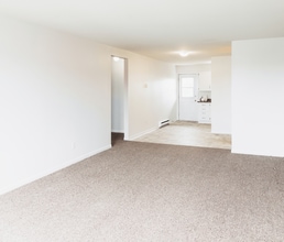 Blackshire Court in St John's, NL - Building Photo - Building Photo