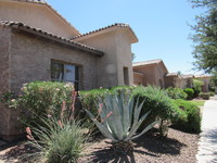 14635 W Hidden Terrace Loop in Litchfield Park, AZ - Building Photo - Building Photo