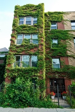 1122 W Addison St in Chicago, IL - Foto de edificio - Building Photo