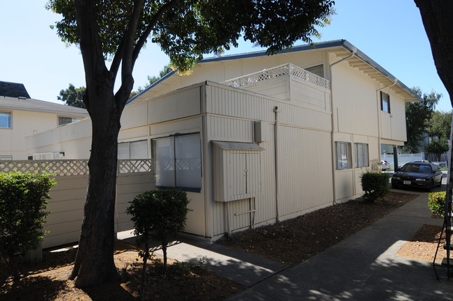 39524 Trinity Way in Fremont, CA - Building Photo - Building Photo