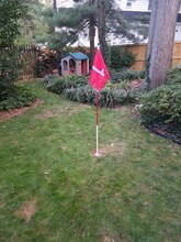 8310 Chivalry Rd in Annandale, VA - Building Photo - Building Photo