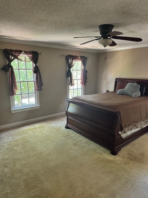 14 Porchlight Ct in Durham, NC - Building Photo - Building Photo