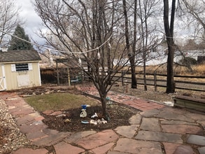 2590 5th St SW in Loveland, CO - Building Photo - Building Photo