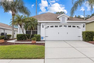 3009 Banyan Hill Ln in Land O Lakes, FL - Building Photo