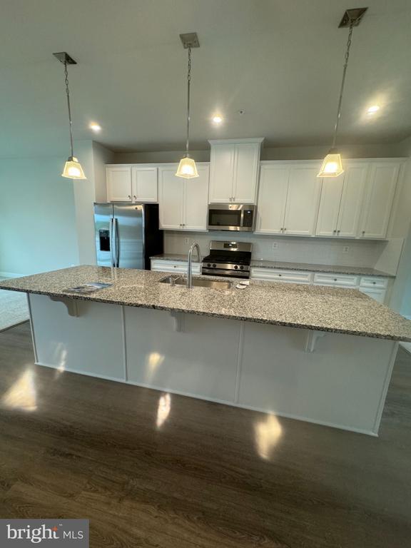 275 Thoroughbred Ln in Frederick, MD - Building Photo - Building Photo