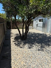 841 N Fine Ave in Fresno, CA - Building Photo - Building Photo
