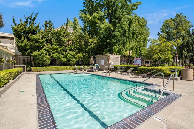 property at 439 Alberto Way