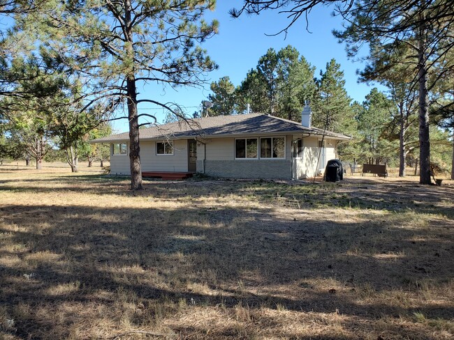 property at 11165 Pine Meadows Rd