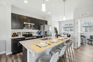 The Rowhomes at Greyhound Park in Commerce City, CO - Building Photo