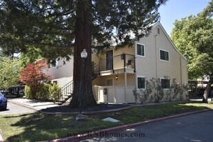 7445 Auburn Oaks Ct in Citrus Heights, CA - Building Photo