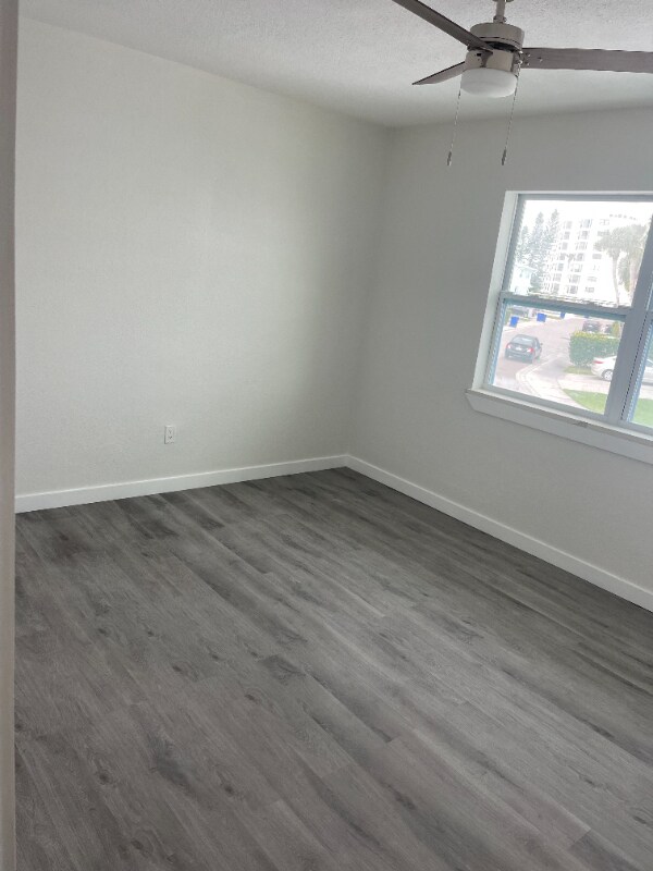 2628 St Joseph Dr in Dunedin, FL - Building Photo - Building Photo