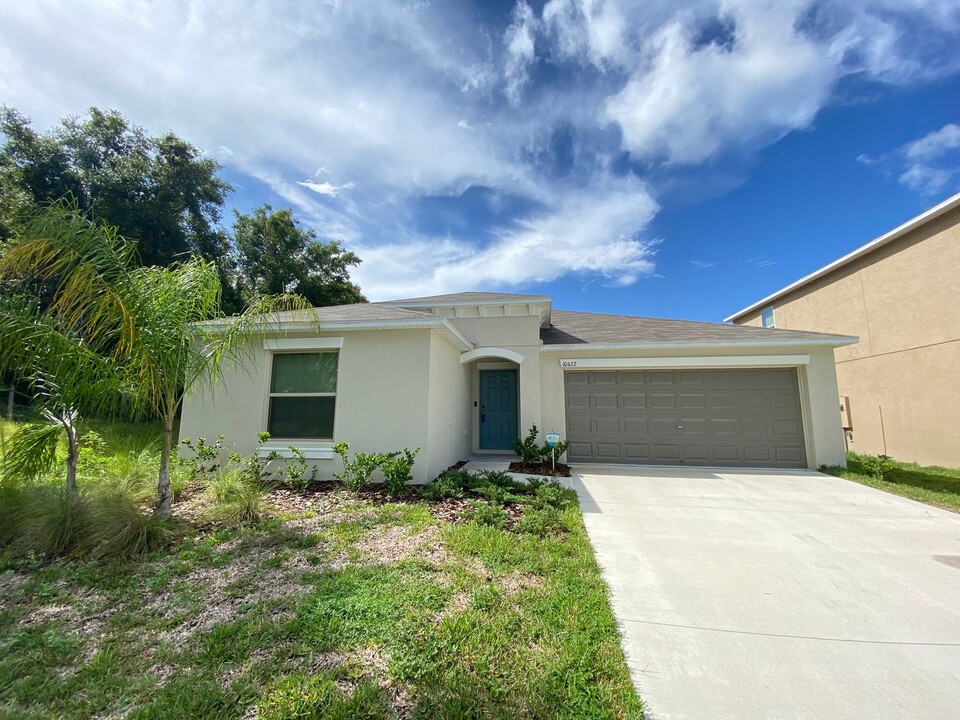 10211 Strawberry Tetra Dr in Riverview, FL - Building Photo