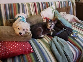 The Lindsay Furnished Apartments in Stockton, CA - Building Photo - Building Photo