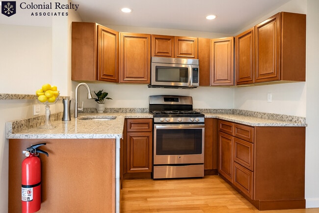 64 Egmont St in Brookline, MA - Building Photo - Building Photo