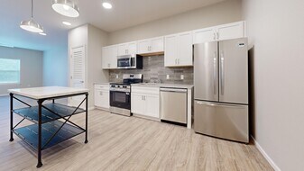 1073 S Grant Ave in Springfield, MO - Building Photo