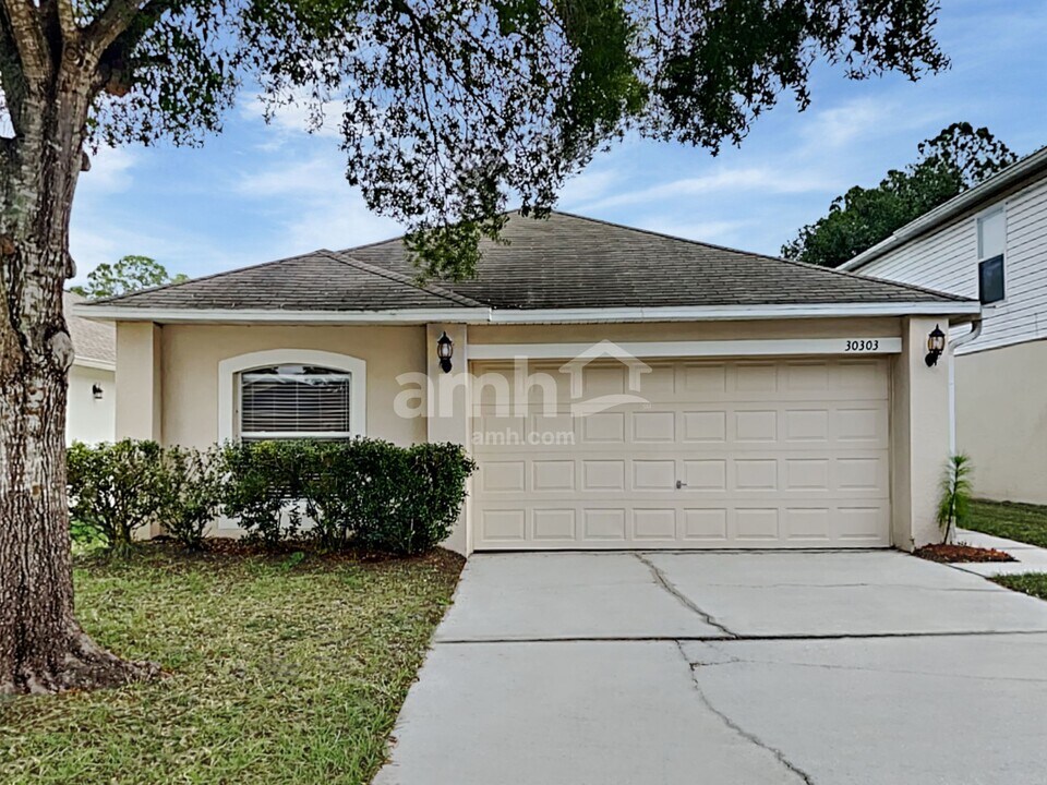 30303 Pongo Way in Wesley Chapel, FL - Foto de edificio
