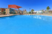 Cien Palmas Apartments in El Paso, TX - Building Photo - Building Photo