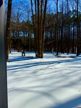 664 Confederate Ridge Dr in Lake Cormorant, MS - Building Photo - Building Photo