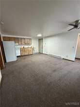 29 Lake Ave in Blasdell, NY - Building Photo - Building Photo