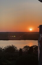 823 Periwinkle St in Ocean City, NJ - Building Photo - Building Photo