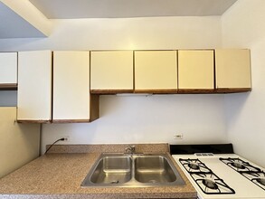 1532 N Kedzie Ave in Chicago, IL - Building Photo - Building Photo