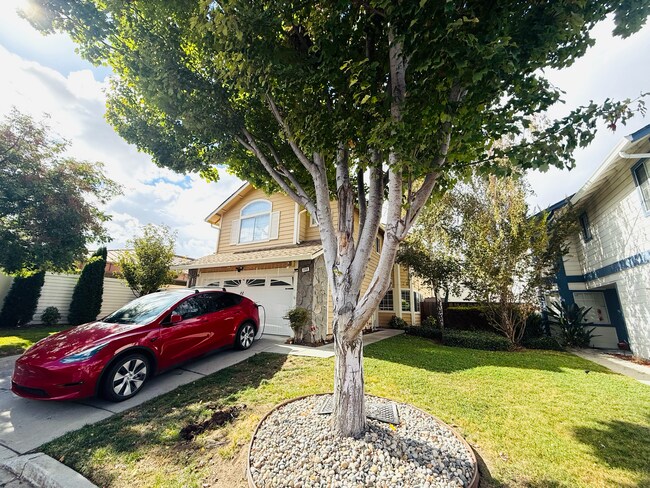 1209 Sassone Ct in Milpitas, CA - Building Photo - Building Photo