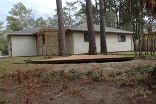 55 E White Willow Cir in Spring, TX - Building Photo