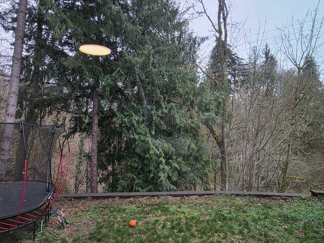 22507 51st Ave W in Mountlake Terrace, WA - Building Photo - Building Photo