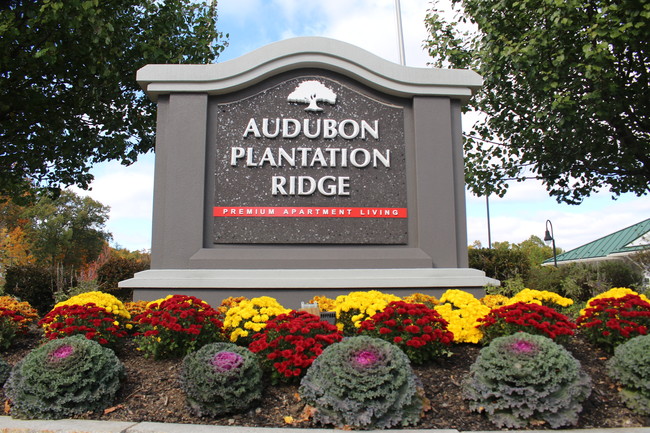 Audubon Plantation Ridge in Worcester, MA - Building Photo - Building Photo