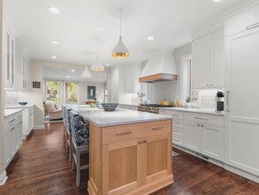 345 S Race St in Denver, CO - Building Photo - Building Photo