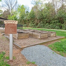 Aurora in Charlotte, NC - Building Photo - Building Photo