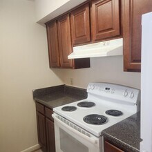 3853 Staffordshire Ln in Williamsburg, VA - Building Photo - Building Photo