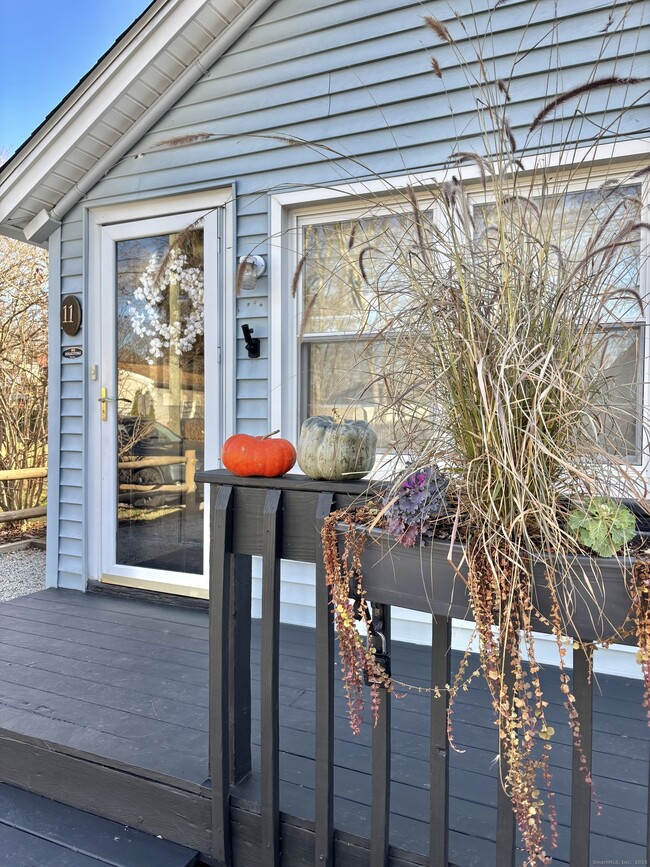 11 Mohawk Trail in East Hampton, CT - Building Photo - Building Photo