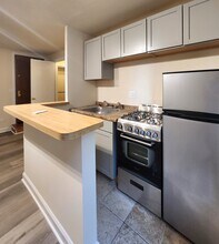 1504 N Dearborn Pkwy in Chicago, IL - Building Photo - Building Photo