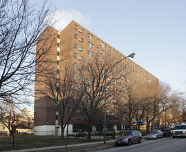 Edith Spurlock Sampson Apartments in Chicago, IL - Building Photo - Building Photo