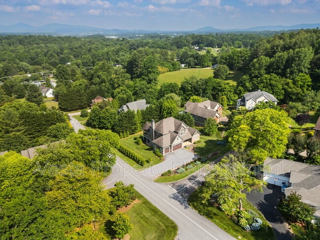 19 Carrolls Pl Ct in Mills River, NC - Building Photo - Building Photo