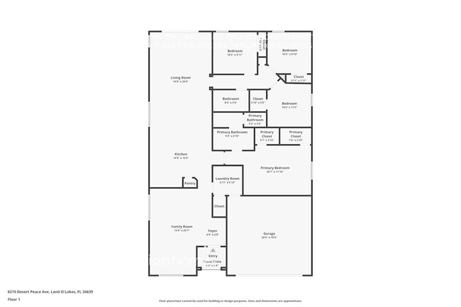 6215 Desert Peace Ave in Land O Lakes, FL - Building Photo - Building Photo