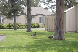 Bear Creek Village Apartments in Bend, OR - Building Photo - Building Photo