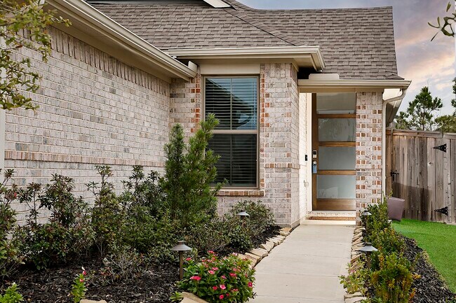 249 Trapper Creek Dr in Conroe, TX - Building Photo - Building Photo