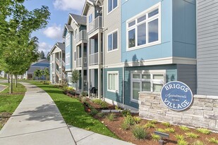 BRIGGS VILLAGE APARTMENTS