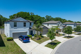 Preserve at Pinegrove in Riverview, FL - Foto de edificio - Building Photo