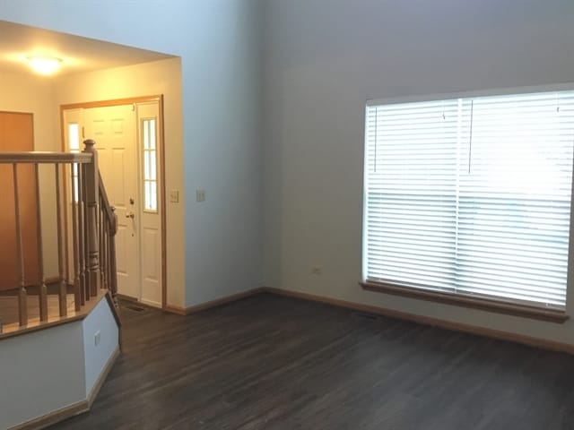 1907 Arbor Falls Dr in Plainfield, IL - Foto de edificio - Building Photo