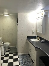 248 Pine St, Unit Furnished Apartment in Elko, NV - Building Photo - Building Photo