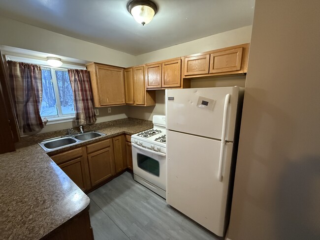 596 Bloomfield Ave in Pontiac, MI - Building Photo - Building Photo